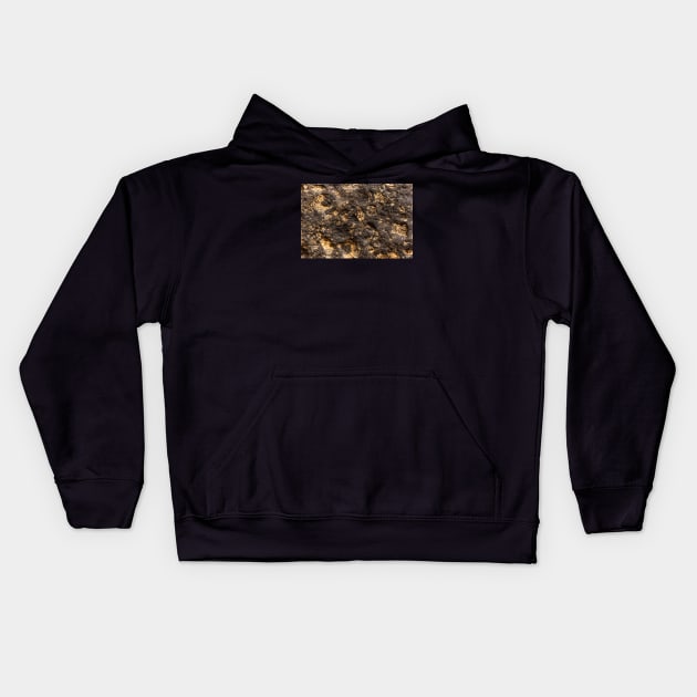 Black & Gold Volcanic Surface Kids Hoodie by textural